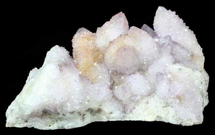 Cactus Quartz (Amethyst) Cluster - Large Crystals #62964